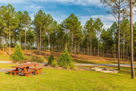 Lot 177 Canoe Point East Ellijay GA 30540