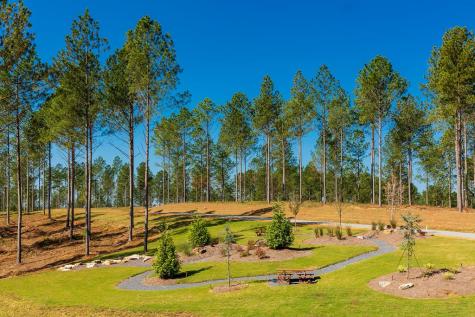 Lot 177 Canoe Point East Ellijay GA 30540