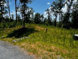 Lot 177 Canoe Point East Ellijay GA 30540