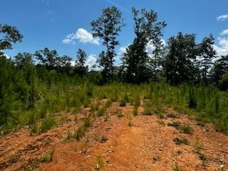 Lot 177 Canoe Point East Ellijay GA 30540