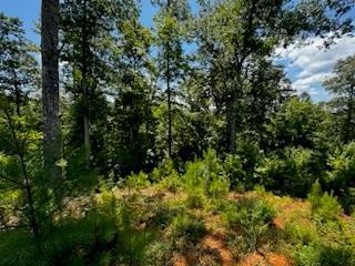 Lot 177 Canoe Point East Ellijay GA 30540