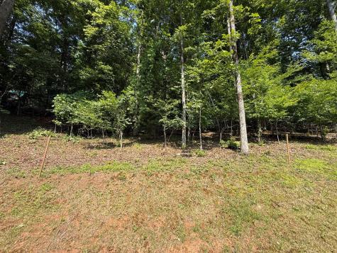 248 Ledford Chapel Road Hayesville NC 28904