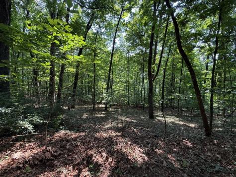 248 Ledford Chapel Road Hayesville NC 28904