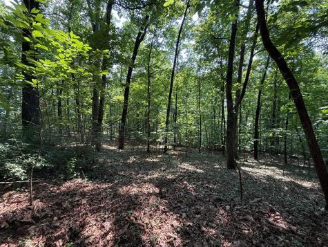 248 Ledford Chapel Road Hayesville NC 28904