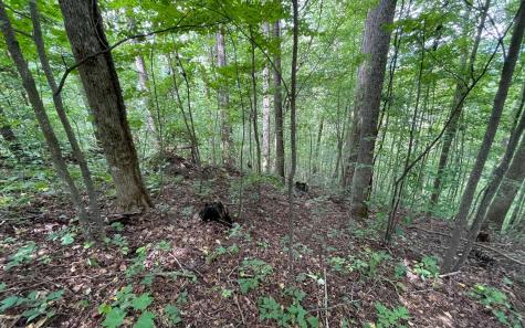 Lot 19 Bear Trail Hiawassee GA 30546