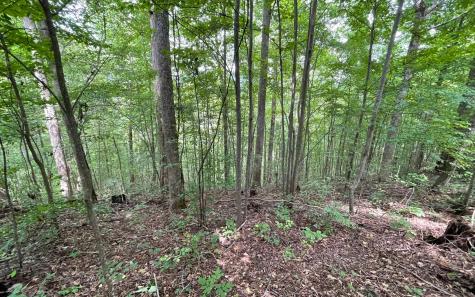 Lot 19 Bear Trail Hiawassee GA 30546
