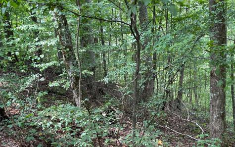 Lot 19 Bear Trail Hiawassee GA 30546