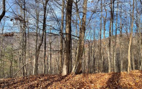 Lot 19 Bear Trail Hiawassee GA 30546