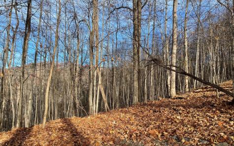 Lot 19 Bear Trail Hiawassee GA 30546