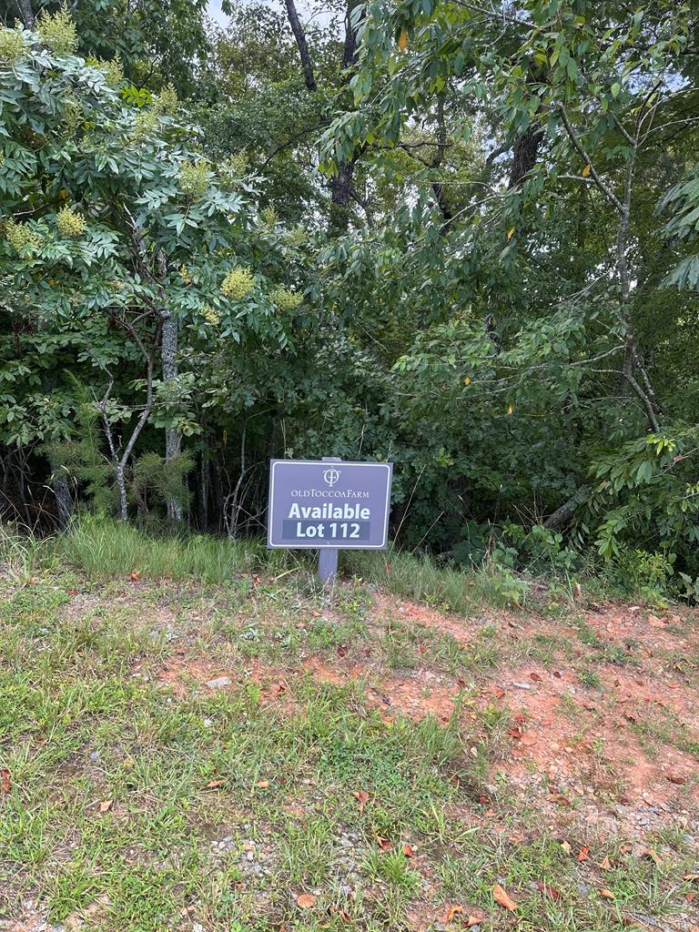 Lot 112 Fawn Way Mineral Bluff GA 30536
