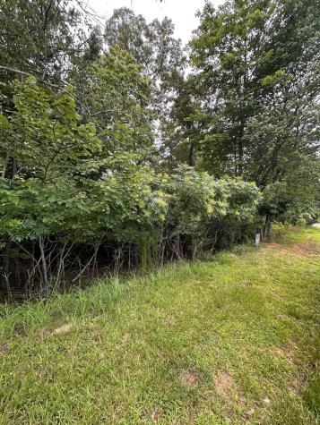 Lot 112 Fawn Way Mineral Bluff GA 30536