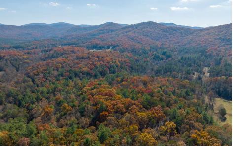 2 Trail Old Anderson Creek Ellijay GA 30536