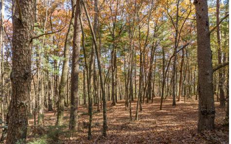 2 Trail Old Anderson Creek Ellijay GA 30536