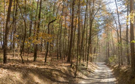 2 Trail Old Anderson Creek Ellijay GA 30536