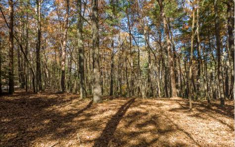 2 Trail Old Anderson Creek Ellijay GA 30536