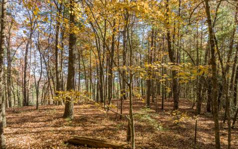 2 Trail Old Anderson Creek Ellijay GA 30536