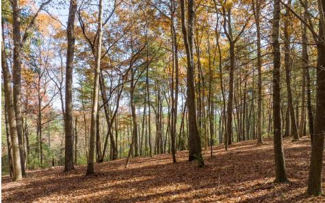 2 Trail Old Anderson Creek Ellijay GA 30536