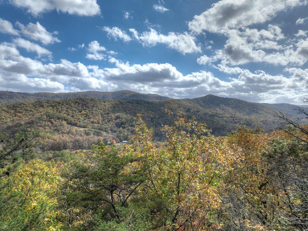 23.26 Ac Weaver Creek Road Blue Ridge GA 30513