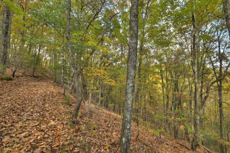 23.26 Ac Weaver Creek Road Blue Ridge GA 30513