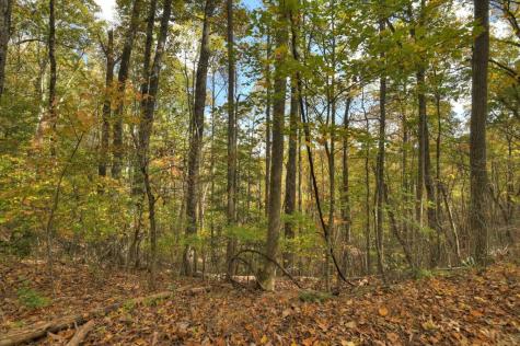 23.26 Ac Weaver Creek Road Blue Ridge GA 30513