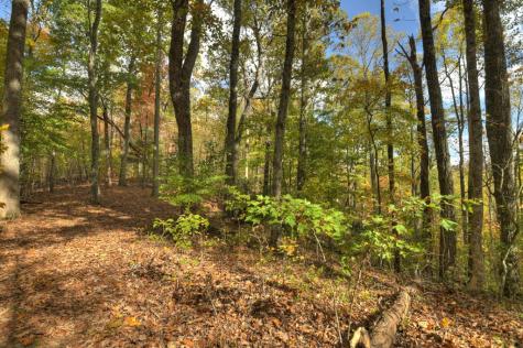 23.26 Ac Weaver Creek Road Blue Ridge GA 30513