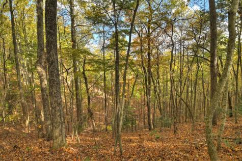 23.26 Ac Weaver Creek Road Blue Ridge GA 30513