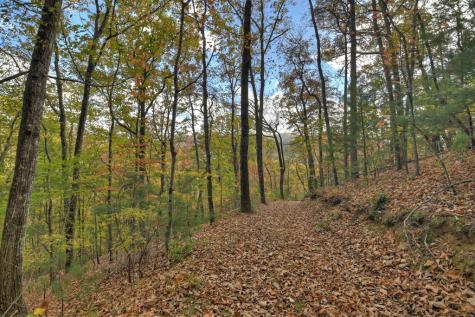 23.26 Ac Weaver Creek Road Blue Ridge GA 30513