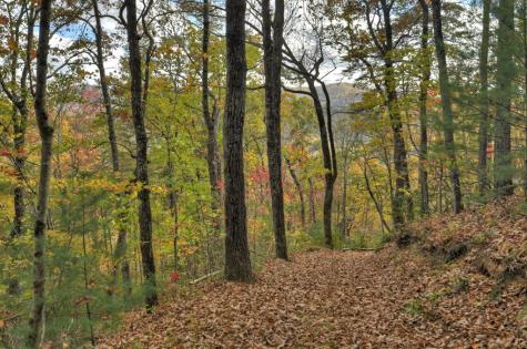 23.26 Ac Weaver Creek Road Blue Ridge GA 30513