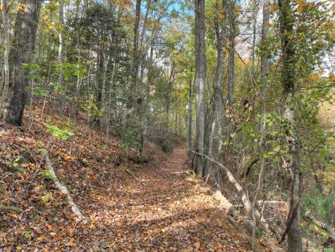 23.26 Ac Weaver Creek Road Blue Ridge GA 30513