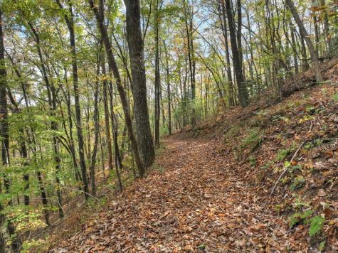 23.26 Ac Weaver Creek Road Blue Ridge GA 30513