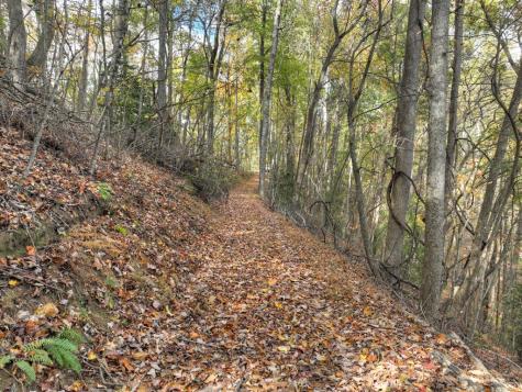 23.26 Ac Weaver Creek Road Blue Ridge GA 30513