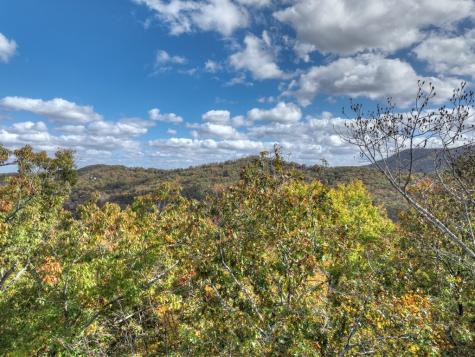 23.26 Ac Weaver Creek Road Blue Ridge GA 30513