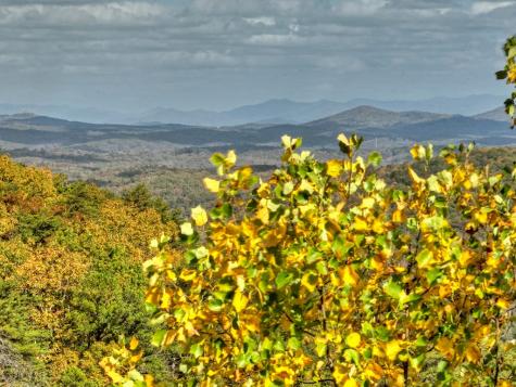23.26 Ac Weaver Creek Road Blue Ridge GA 30513