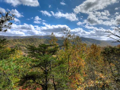 23.26 Ac Weaver Creek Road Blue Ridge GA 30513