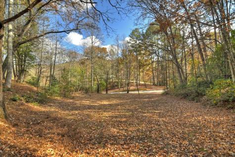 23.26 Ac Weaver Creek Road Blue Ridge GA 30513