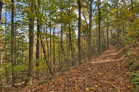 23.26 Ac Weaver Creek Road Blue Ridge GA 30513