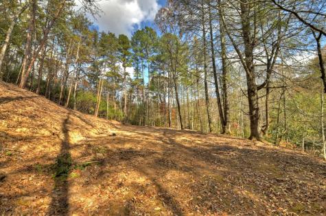 23.26 Ac Weaver Creek Road Blue Ridge GA 30513