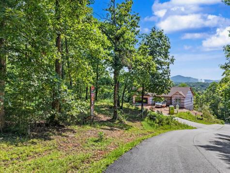 Lot 2 Brasstown Trail Warne NC 28909