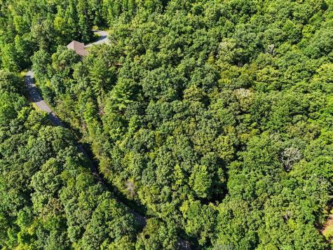 Lot 2 Brasstown Trail Warne NC 28909