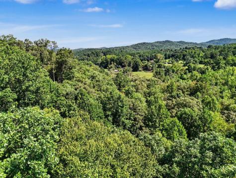 Lot 2 Brasstown Trail Warne NC 28909