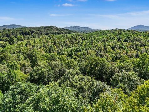 Lot 2 Brasstown Trail Warne NC 28909