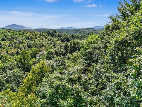 Lot 2 Brasstown Trail Warne NC 28909