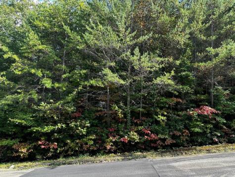 70 St Andrews Way Ellijay GA 30536