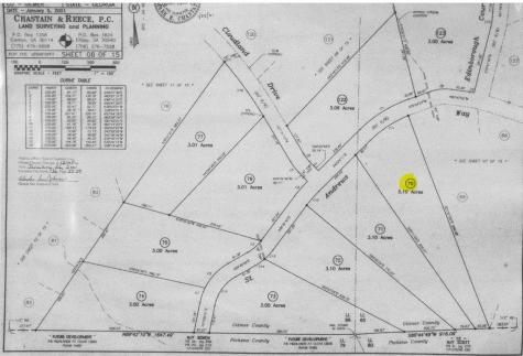 70 St Andrews Way Ellijay GA 30536