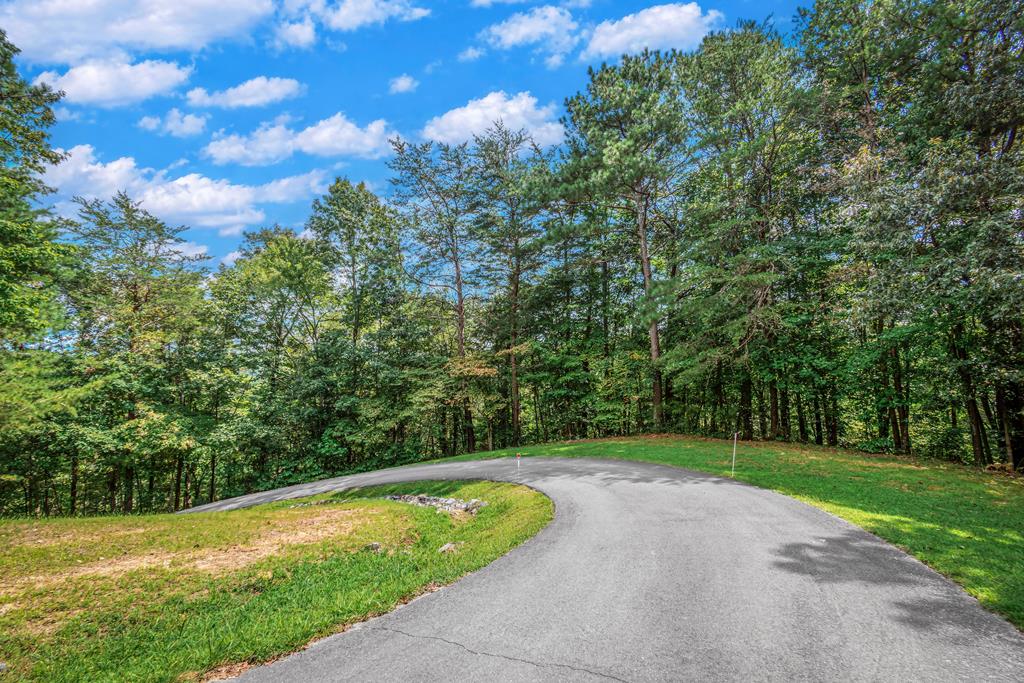 Lot 103r Mountain Creek Hollow Drive Talking Rock GA 30175