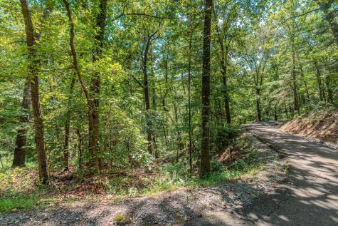 Lot 103r Mountain Creek Hollow Drive Talking Rock GA 30175