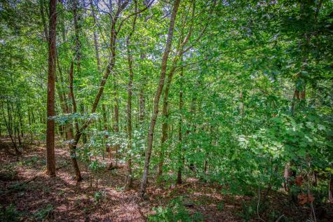 Lot 103r Mountain Creek Hollow Drive Talking Rock GA 30175