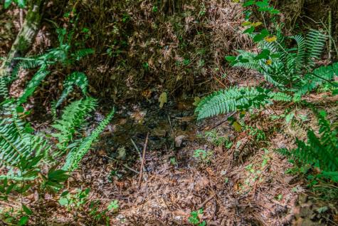 Lot 103r Mountain Creek Hollow Drive Talking Rock GA 30175