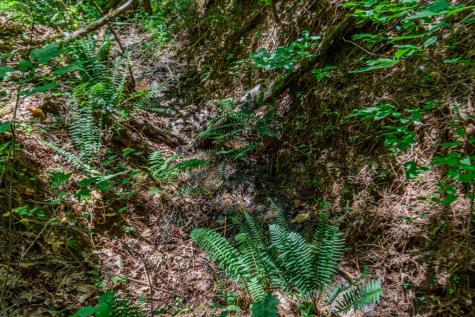 Lot 103r Mountain Creek Hollow Drive Talking Rock GA 30175