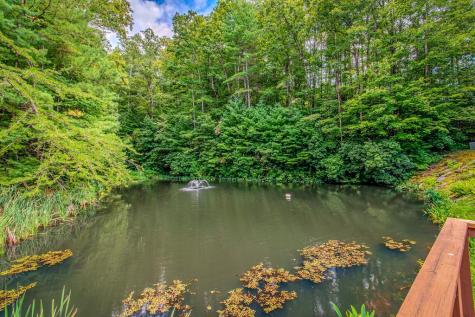 Lot 103r Mountain Creek Hollow Drive Talking Rock GA 30175